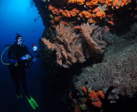 Gotham City Dive Site - Attractions 0