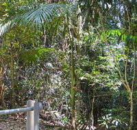 Goorgana walking track - Attractions