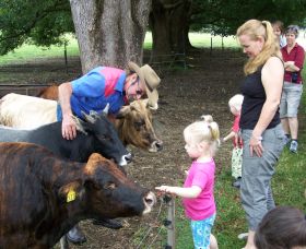 Crystal Creek NSW Attractions