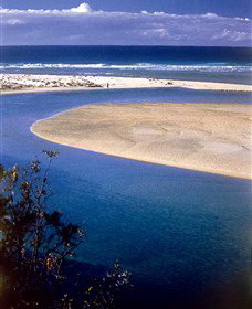 One Tree Point Lookout And Picnic Area - Attractions 1