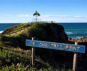 One Tree Point Lookout And Picnic Area - Attractions 0