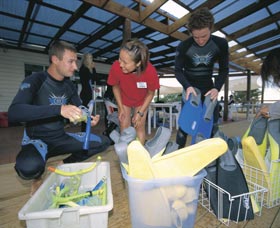 Dolphin Discovery Centre - Attractions Las Vegas 1