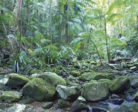 Rocky Creek Dam - Attractions 5