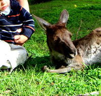 Bunbury Wildlife Park - Attractions