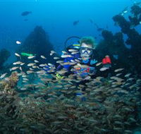 Aarhus Dive Site - Attractions