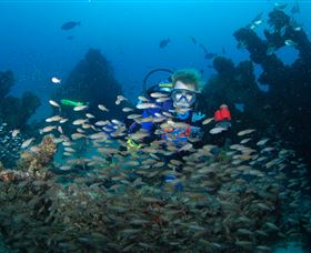 Aarhus Dive Site - Attractions 0
