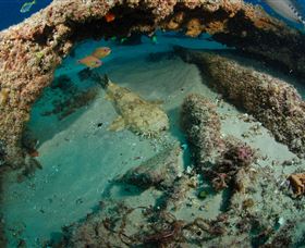 Aarhus Dive Site - Attractions 3