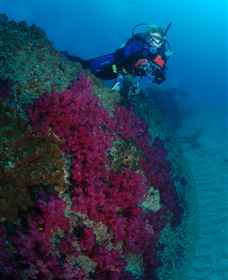 Aarhus Dive Site - Attractions 2