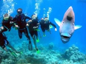 Henderson's Rock Dive Site - Attractions 0