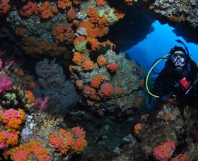 Cherubs Cave Dive Site - Attractions 2