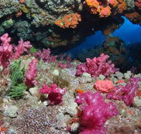 Cherubs Cave Dive Site - Attractions