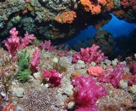 Cherubs Cave Dive Site - Attractions 0