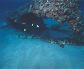 Scottish Prince Dive Site - Attractions 3