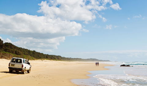 Bongil Bongil National Park - Attractions 0