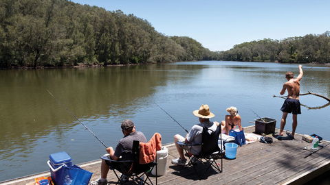 Bongil Bongil National Park - Attractions 1