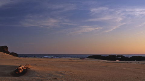 Bongil Bongil National Park - Attractions 2