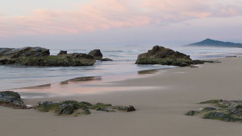 Bongil Bongil National Park - Attractions 3