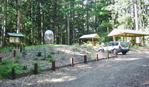 The Pines Picnic Area - Attractions 2