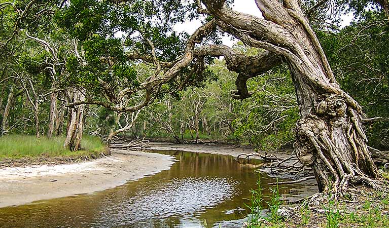 Saltwater NSW Attractions