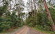 End Peak Walking Track - thumb 0