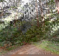 End Peak walking track - Attractions