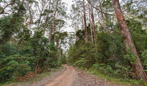 End Peak Walking Track - Attractions 0