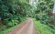 End Peak Walking Track - thumb 2