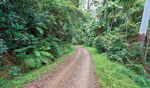 End Peak Walking Track - Attractions 2