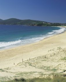 Forster NSW Attractions