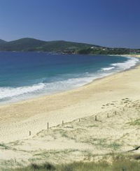 Book Forster Accommodation Vacations Attractions Attractions