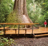 Burrawan State Forest - Attractions