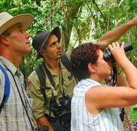 Falls walking track - Attractions