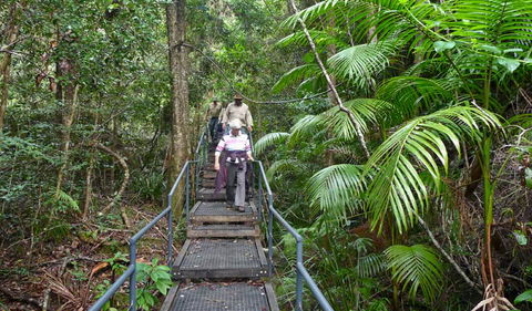 Falls Walking Track - Attractions 2
