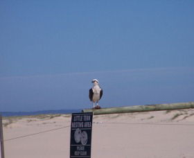 Manning Entrance State Park - Attractions 1