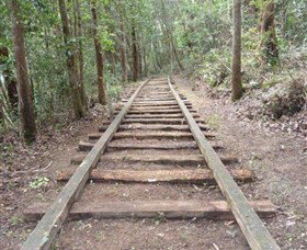 Kerewong State Forest - See Attractions 1