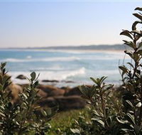 Cape Conran Coastal Park - Attractions