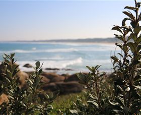 Cape Conran Coastal Park - Attractions 0