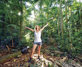 Victoria Park Nature Reserve Alstonville