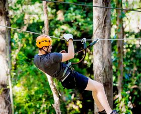Currumbin Waters QLD Attractions Las Vegas