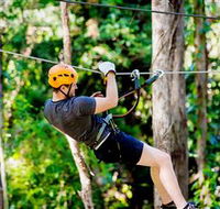 TreeTop Challenge Currumbin - Attractions