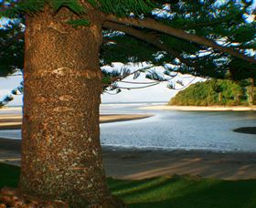 Moonee Beach - Attractions 1