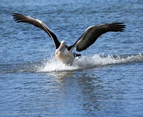 John Barton Photography - Attractions 1