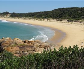 Cape Conran Nature Trail - Attractions 1