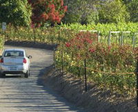 Cassegrain Wines