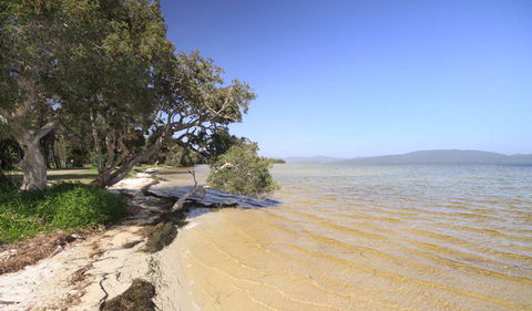 Booti Booti National Park - See Attractions 1