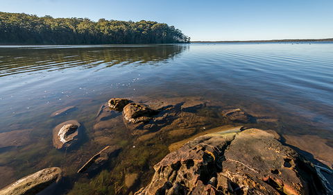 Queens Lake Nature Reserve - Attractions 0