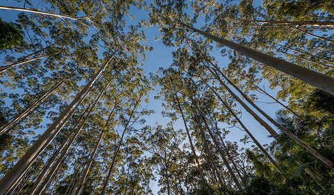 Queens Lake Nature Reserve - Attractions 2
