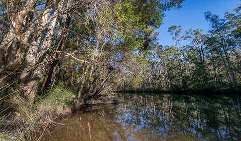 Queens Lake Nature Reserve - Attractions 3