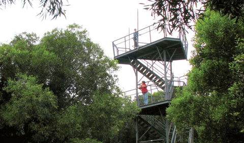 Cape Hawke Lookout - Attractions 0