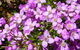 Broadwater National Park - thumb 0